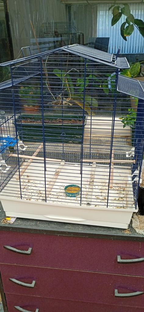 Cage, Enlèvement ou Envoi