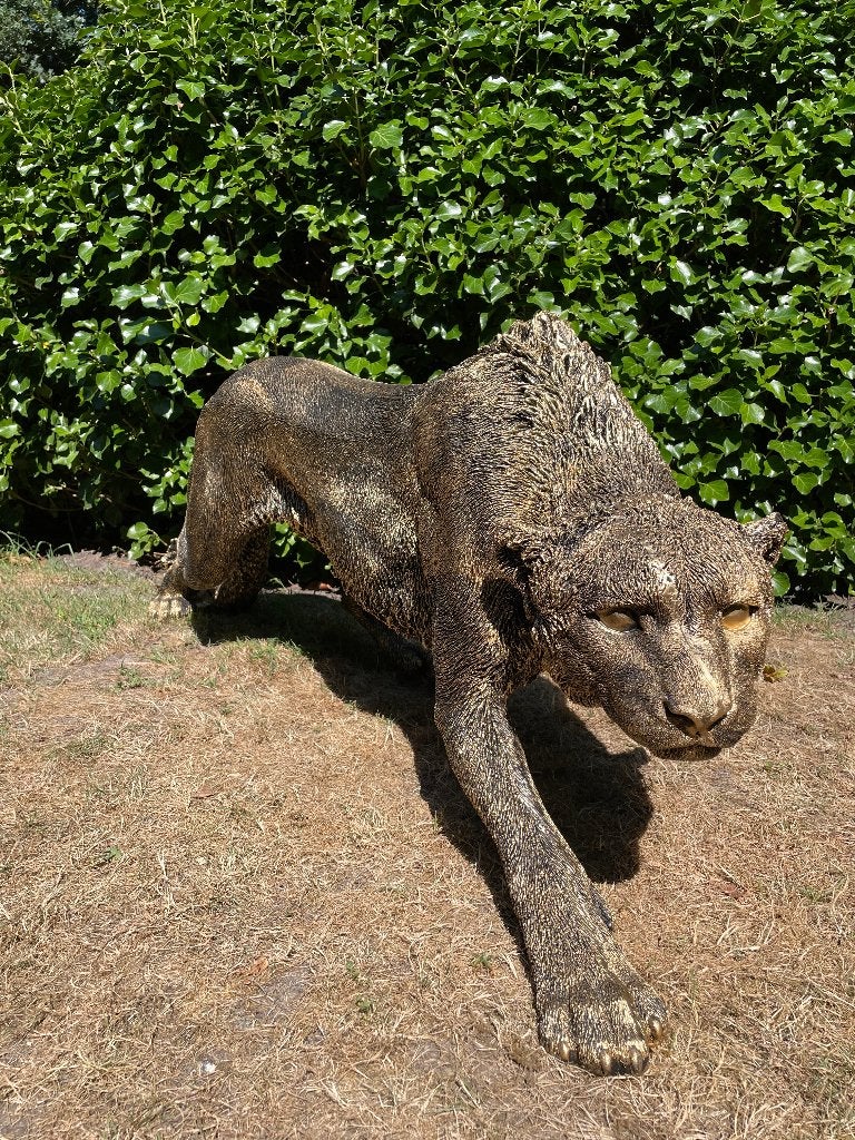 Statue : Panthère, pelouse furtive, jardin, zoo, 125 cm, Enlèvement, Neuf, Synthétique, Animal