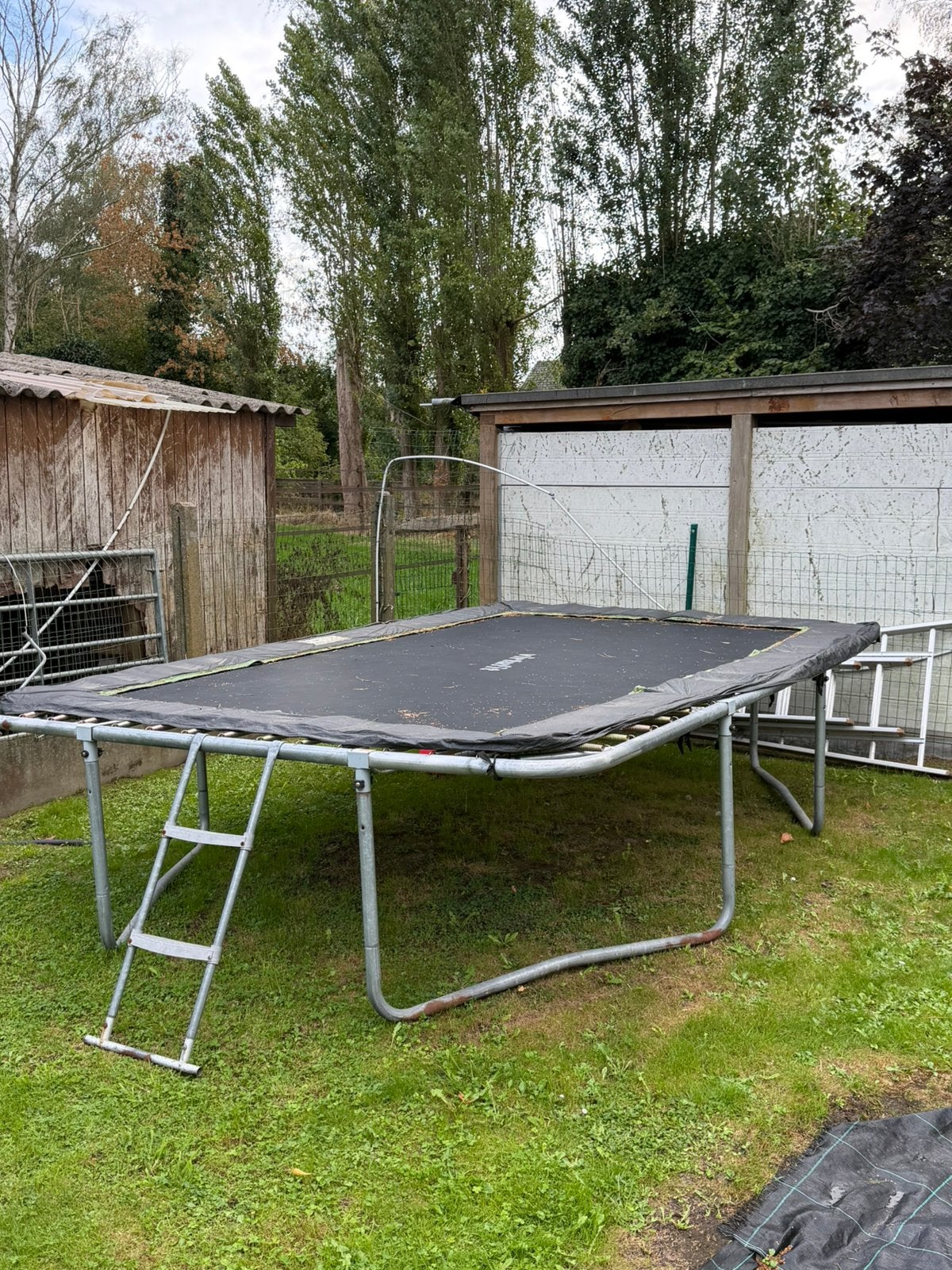 Grote trampoline met trapje – zonder veiligheidsnet, Enlèvement, Comme neuf