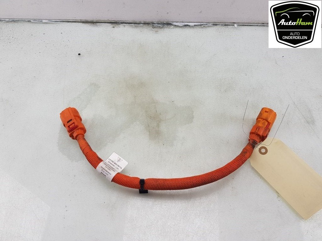 HV KABEL (HOOG VOLTAGE) Porsche Taycan (Y1A) (|9J1971059A|), Gebruikt, Porsche
