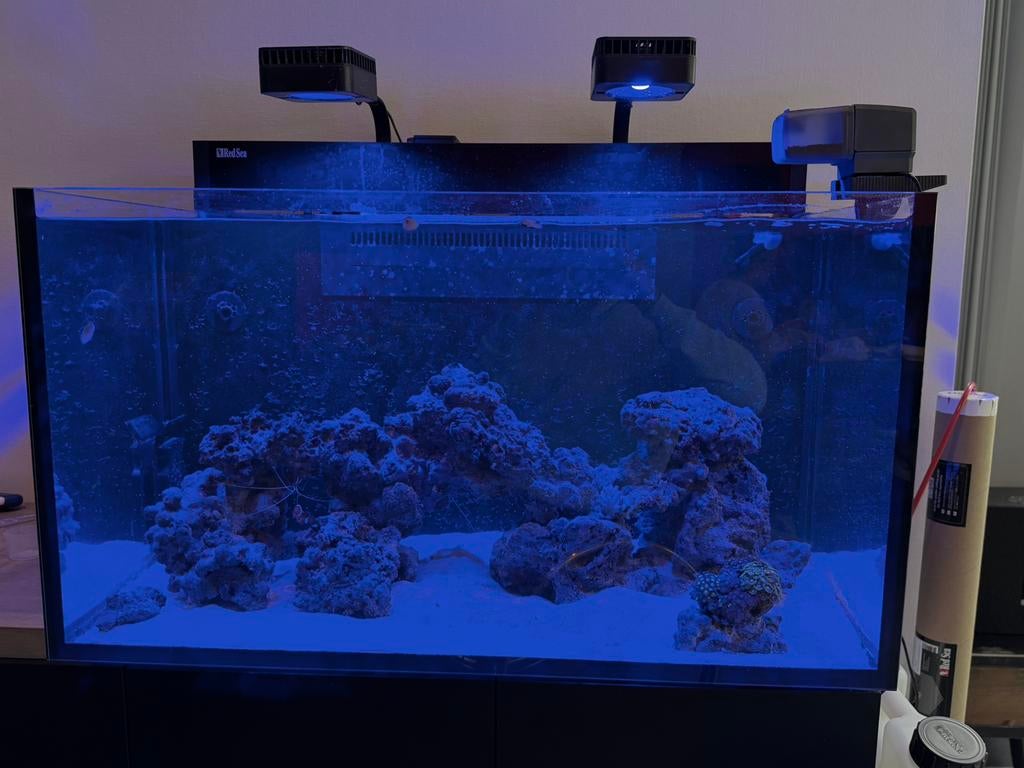 Zoutwater aquarium Red Sea nano XXL