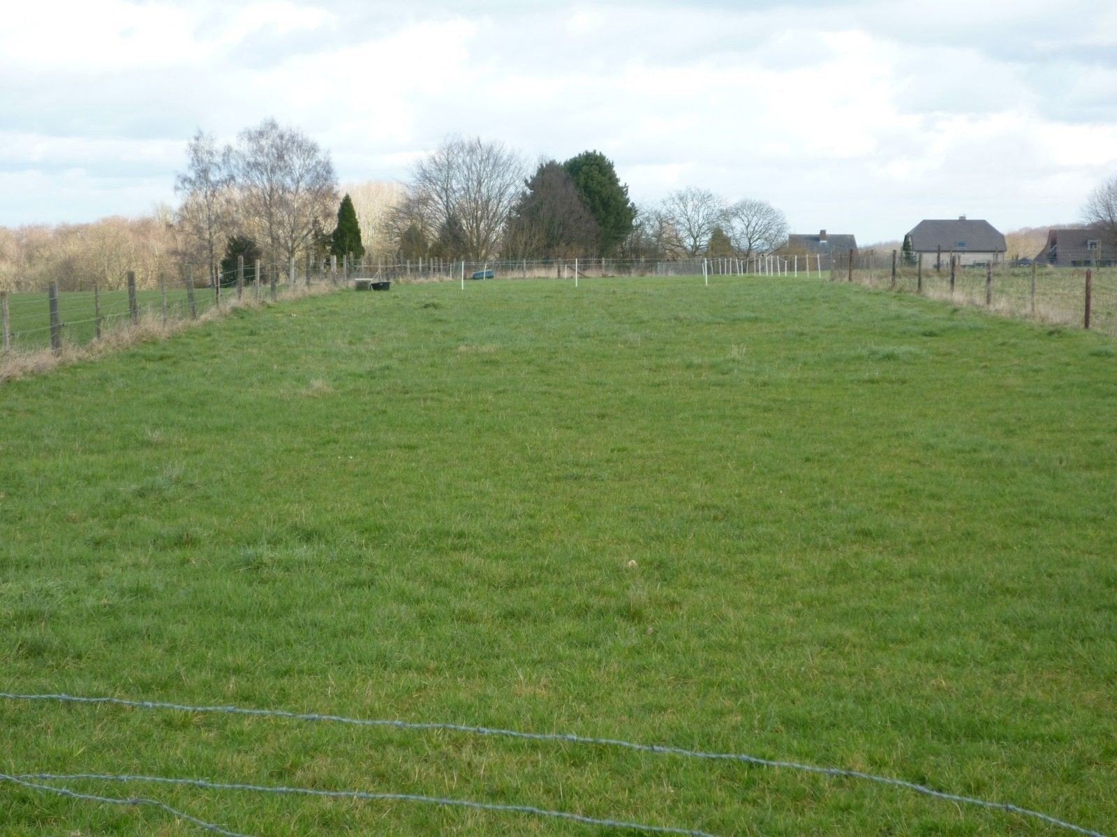 Weide te huur in Brakel met schuilplaats (onmiddellijk vrij)