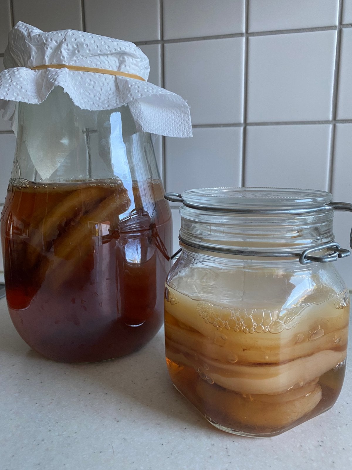 Scoby - kombucha, Diversen, Levensmiddelen, Ophalen