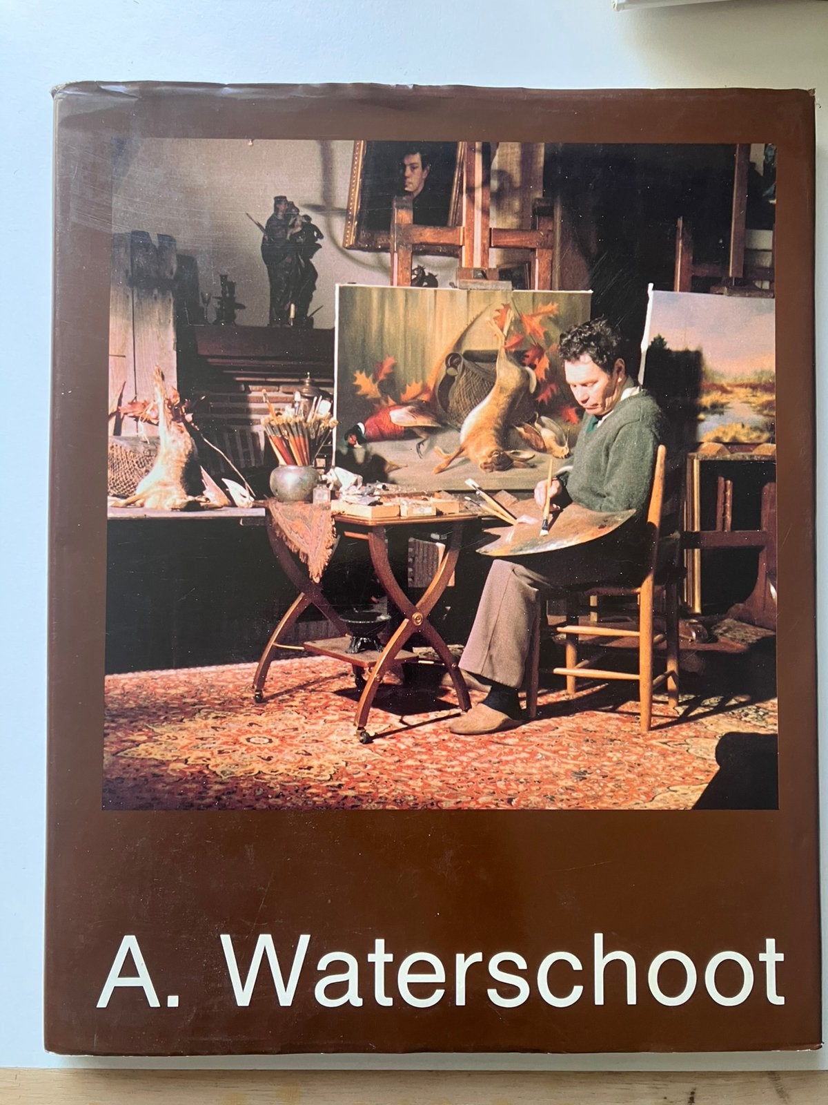 Alfons Waterschoot - kunstboek, Boeken, Ophalen of Verzenden, Gelezen, Schilder- en Tekenkunst