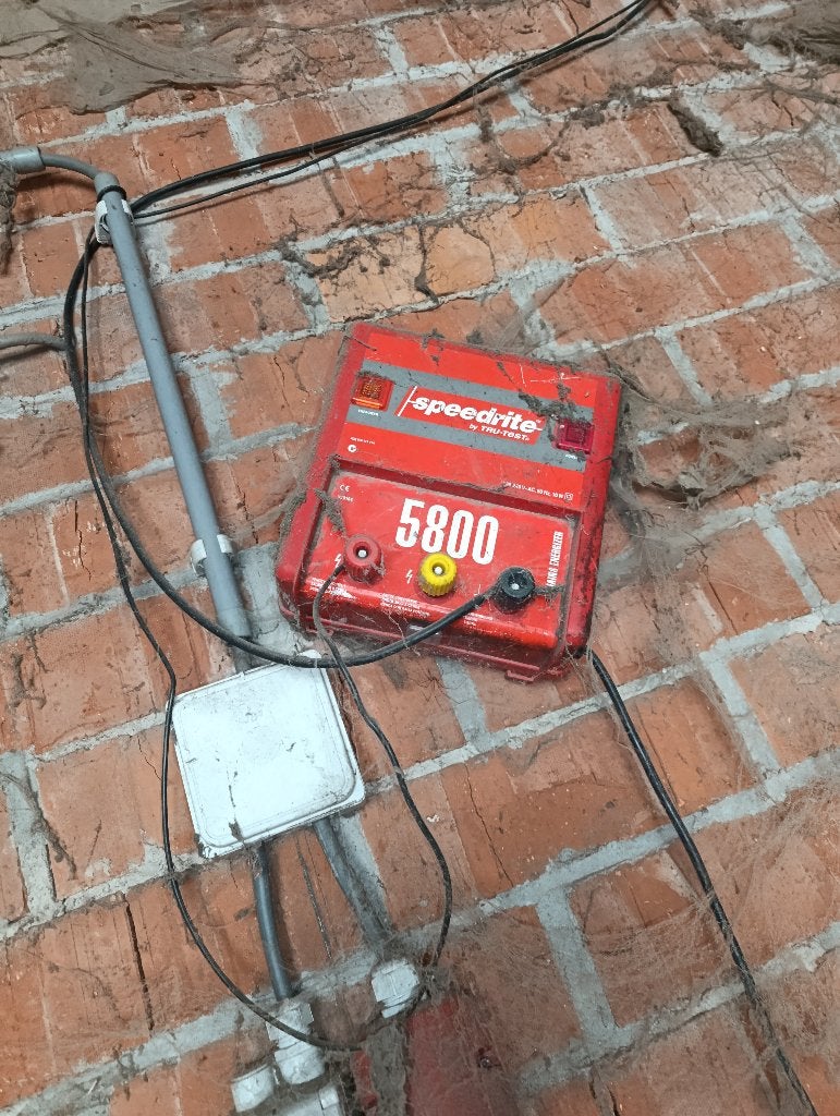 Schrikdraad apparaat, Weidegang