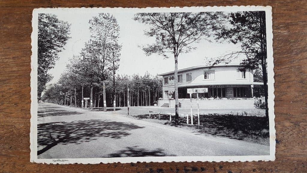 Postkaart Kasterlee Hôtel De Dennen, Verzamelen, Ophalen of Verzenden, 1940 tot 1960, Gelopen, Antwerpen