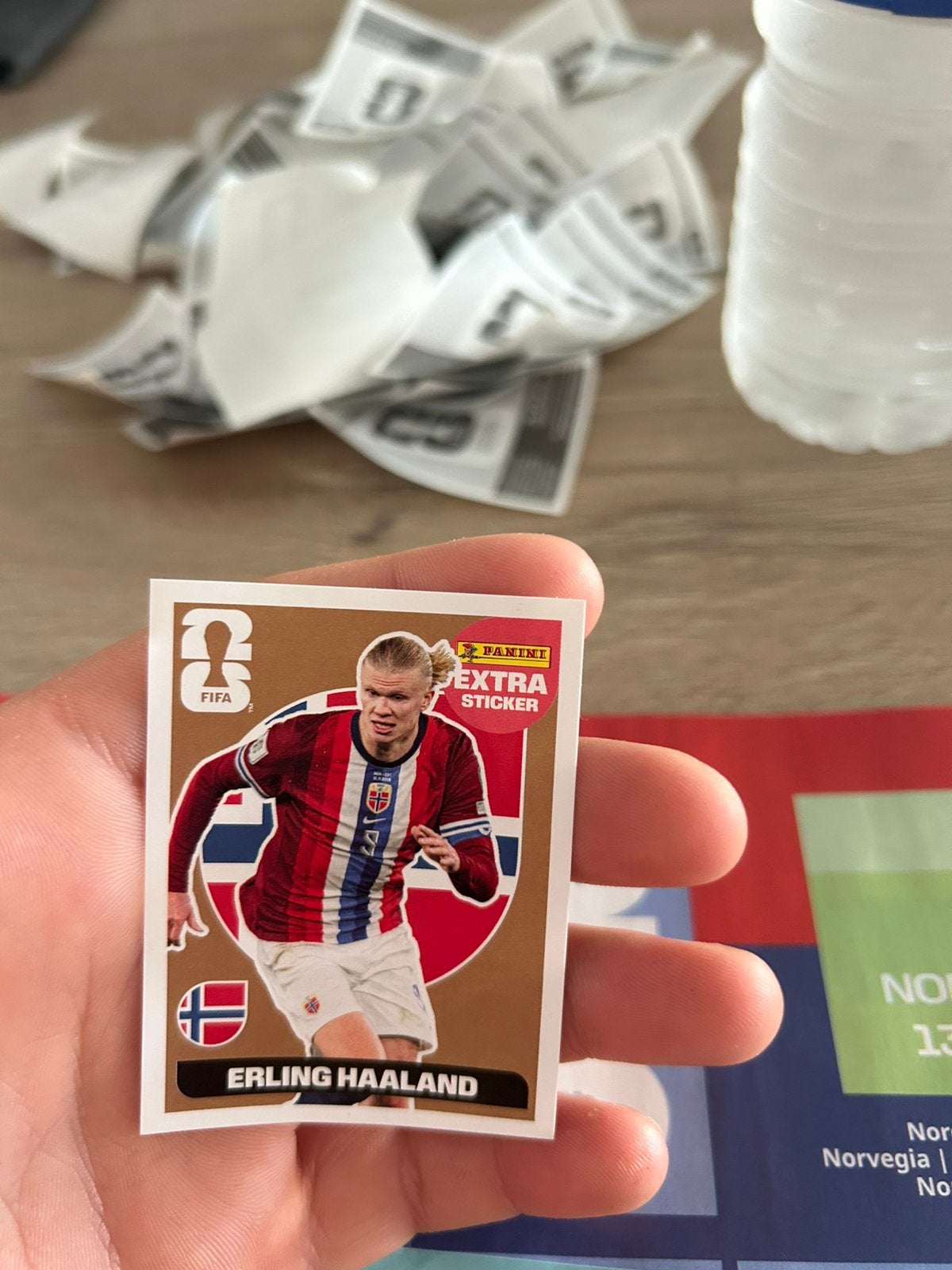 Bronzen erling braut haaland, Ophalen of Verzenden, Zo goed als nieuw, Sticker