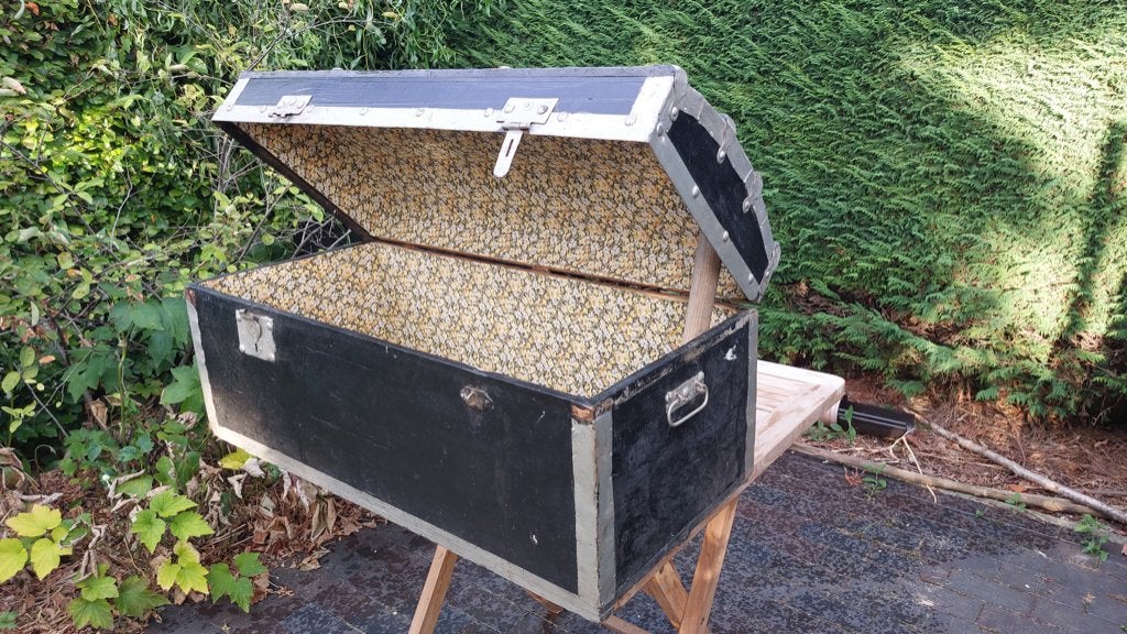 Authentieke antieke kist. Afm. L86cm x B39cm x H39cm, Antiek en Kunst, Ophalen