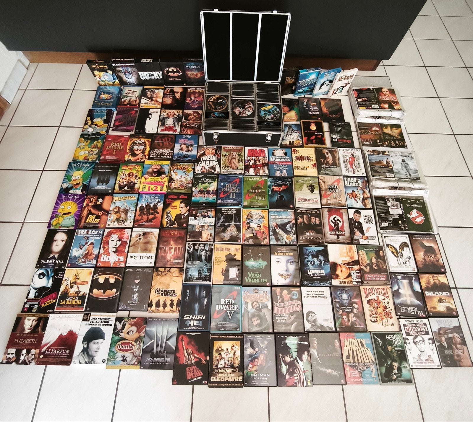 Gros Lot +- 800 DVD, coffrets, Flight Case, 2 classeurs.

Ve, Action et Aventure, Français, Enlèvement, Utilisé