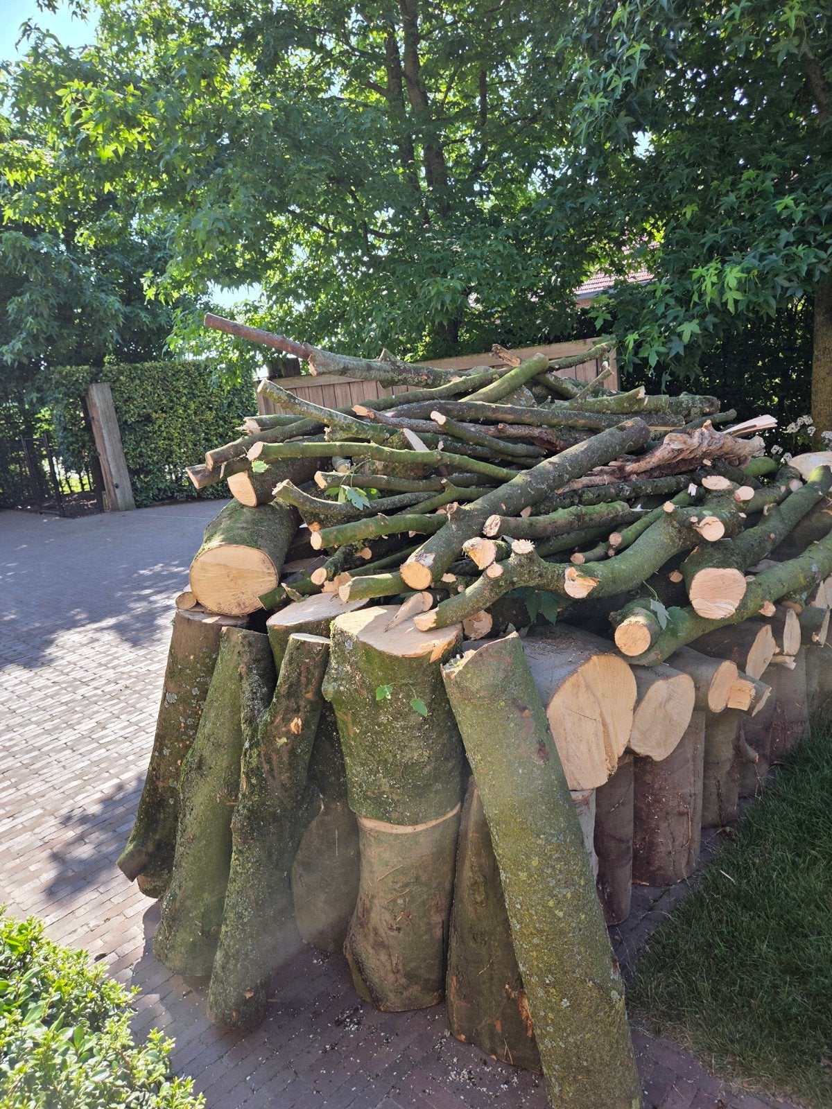 Mooi portie brandhout, Tuin en Terras, Ophalen, Blokken
