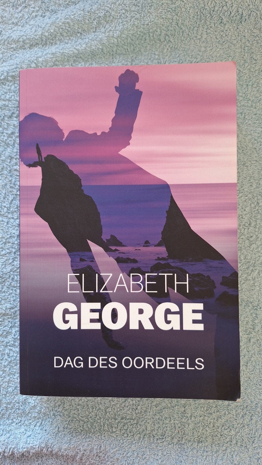 Elizabeth George Dag des oordeels, Livres, Thrillers, Enlèvement ou Envoi