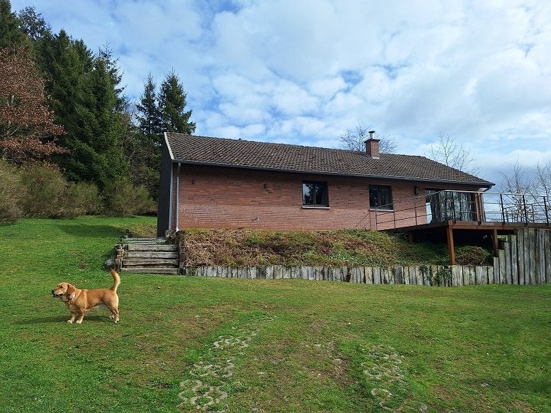 Vakantiehuis voor 6p midden in de natuur, Vacances, Maison de campagne ou Villa, Campagne, 3 chambres à coucher, Feu ouvert