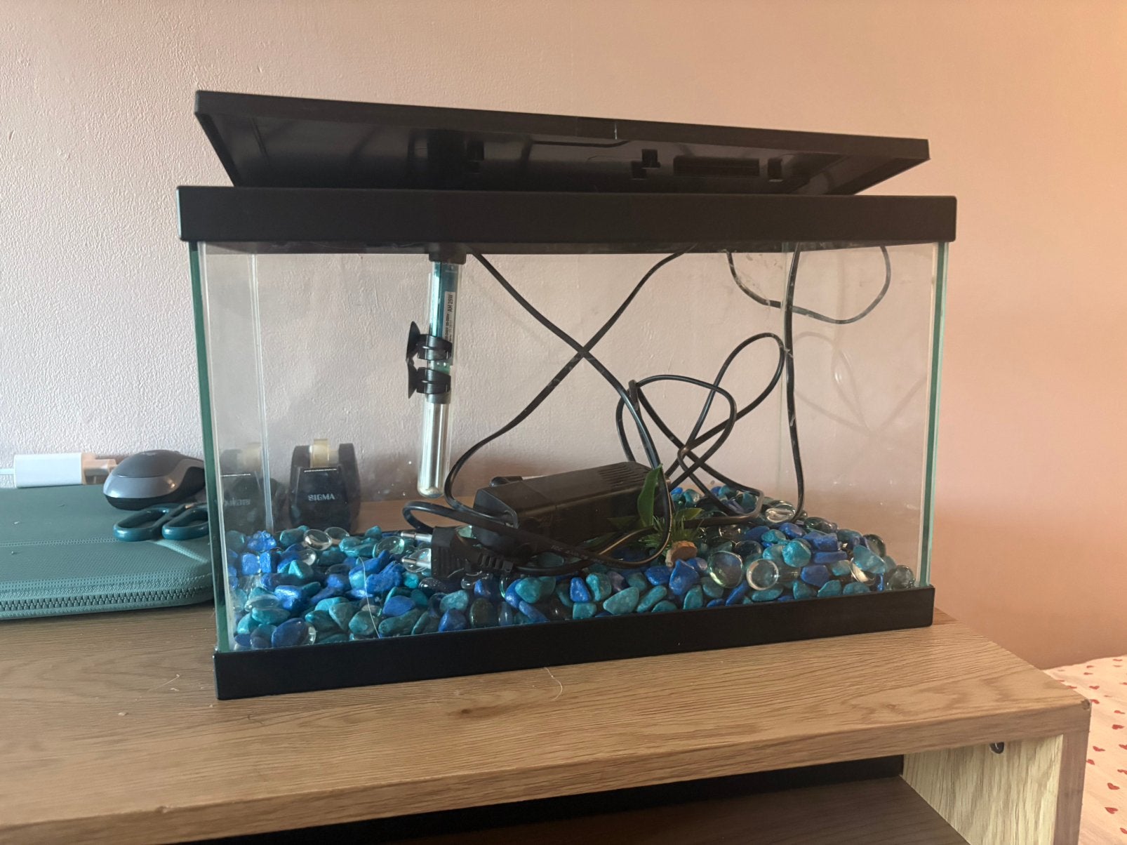 Tom&Co Aqaurium Zwart 20l (ENKEL AFHALEN IN SINT AMANDSBERG!, Ophalen, Gebruikt, Leeg aquarium, Overige merken