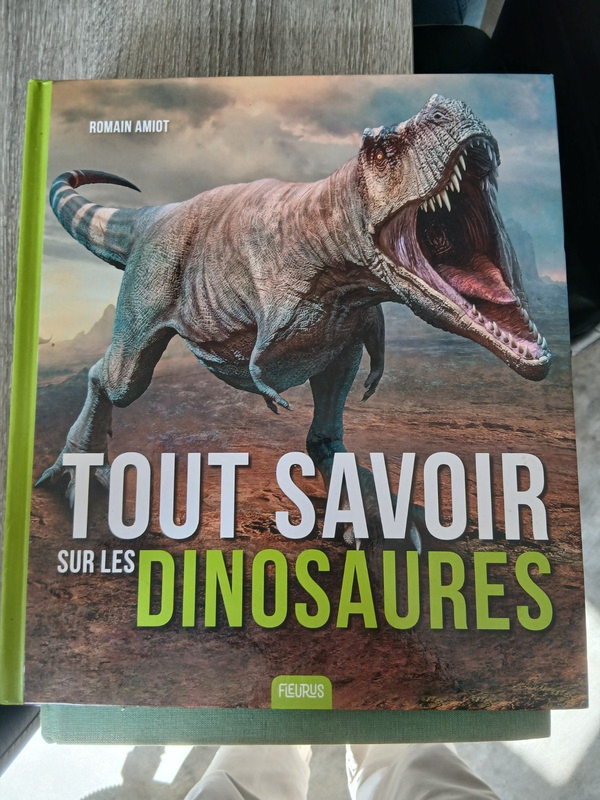 lot de deux livres animaux dinosaure, Livres, Enlèvement, Utilisé