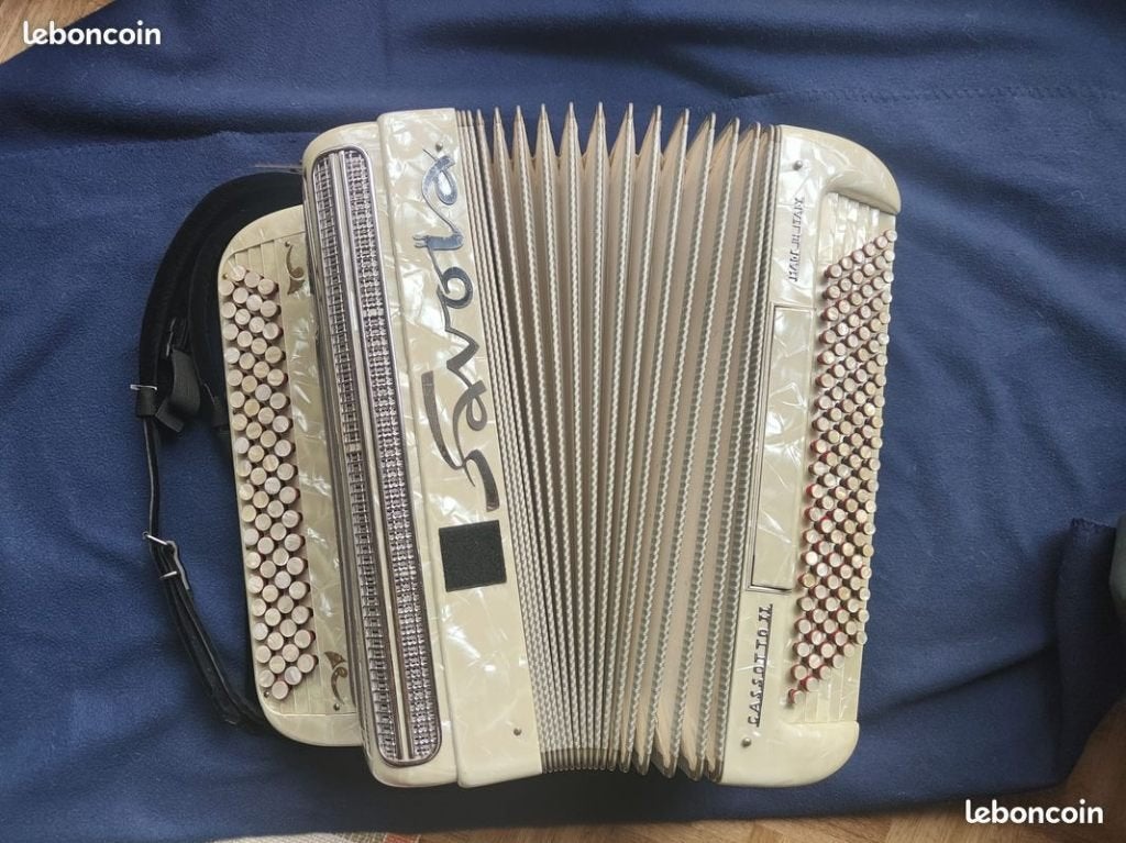 Accordéon, Musique & Instruments, Accordéons, Avec valise, Comme neuf, Enlèvement, 120 basses