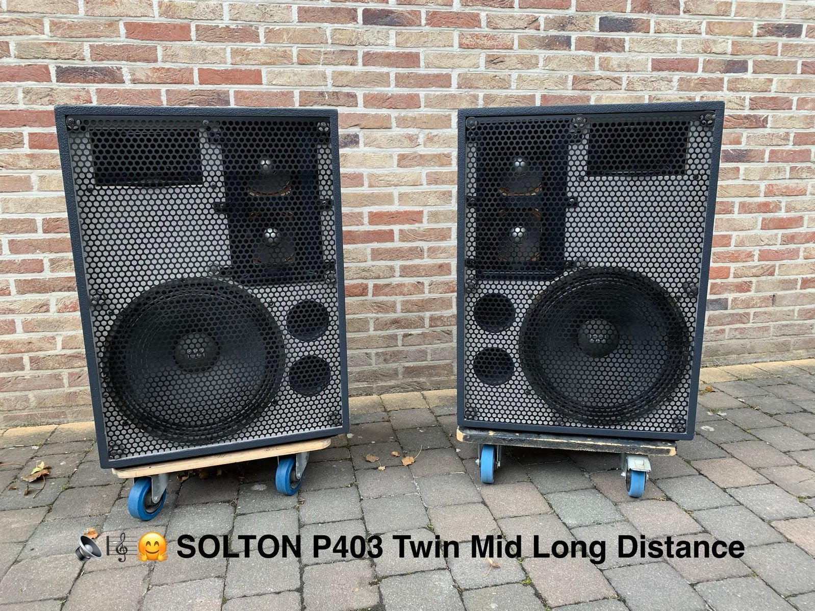 SOLTON P403 Twin Mid Long Distance. In nieuwe kasten!, Audio, Tv en Foto, Luidsprekerboxen, Zo goed als nieuw, Ophalen