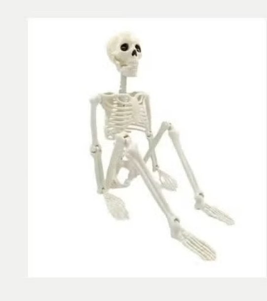 Halloween Skelet Decoratie – Hangend & Beweegbaar