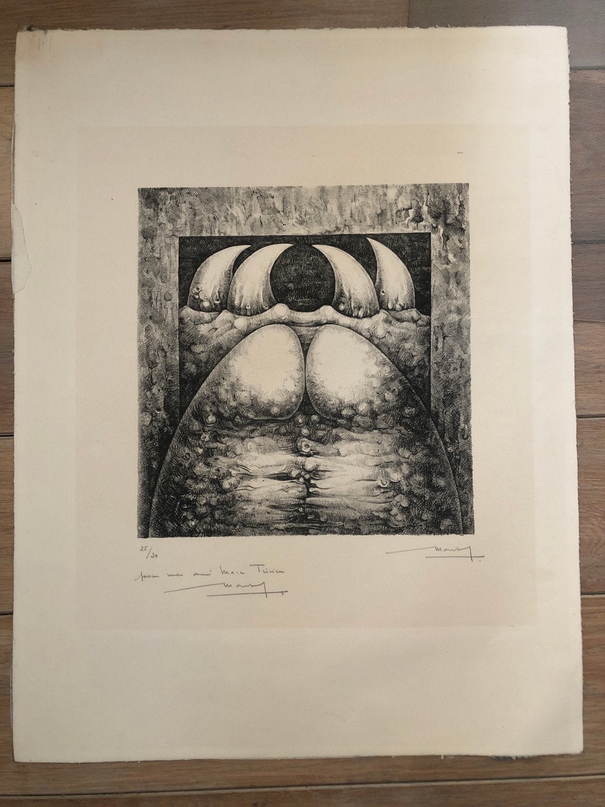 Magnifique litho Roland Monteyne, Ophalen