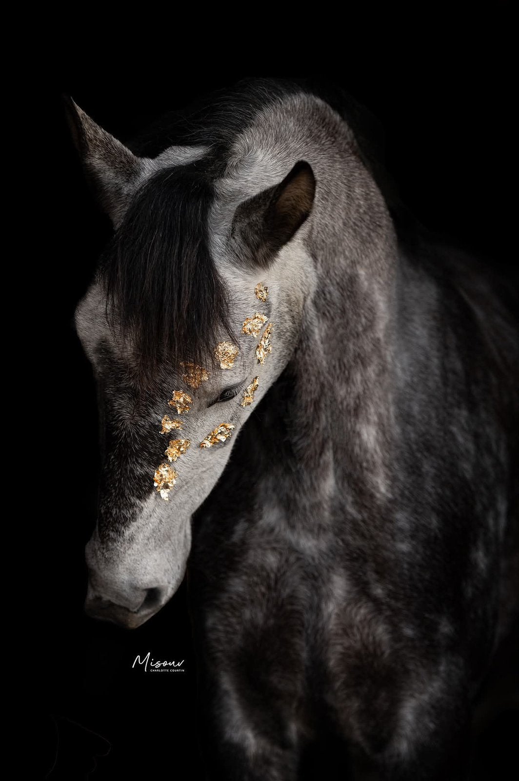 D pony, Dieren en Toebehoren