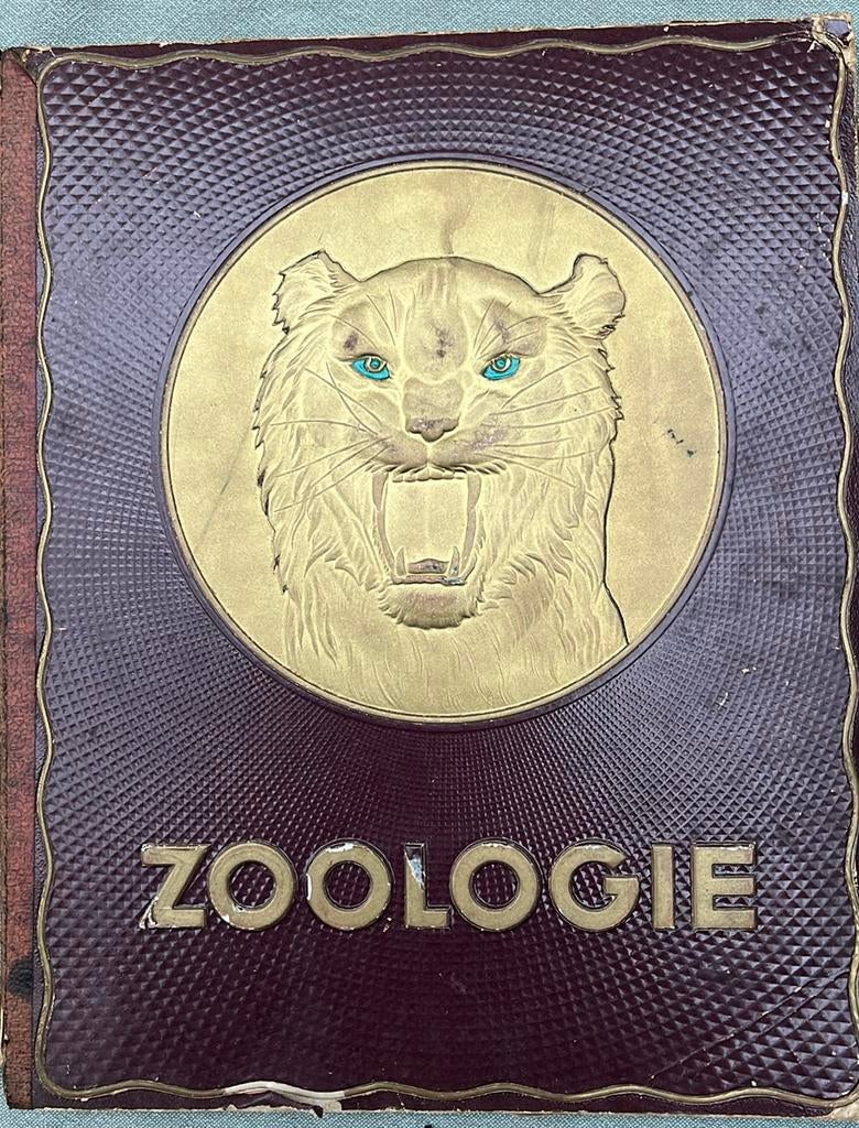 Kwatta verzamelboek “Zoologie”, Ophalen