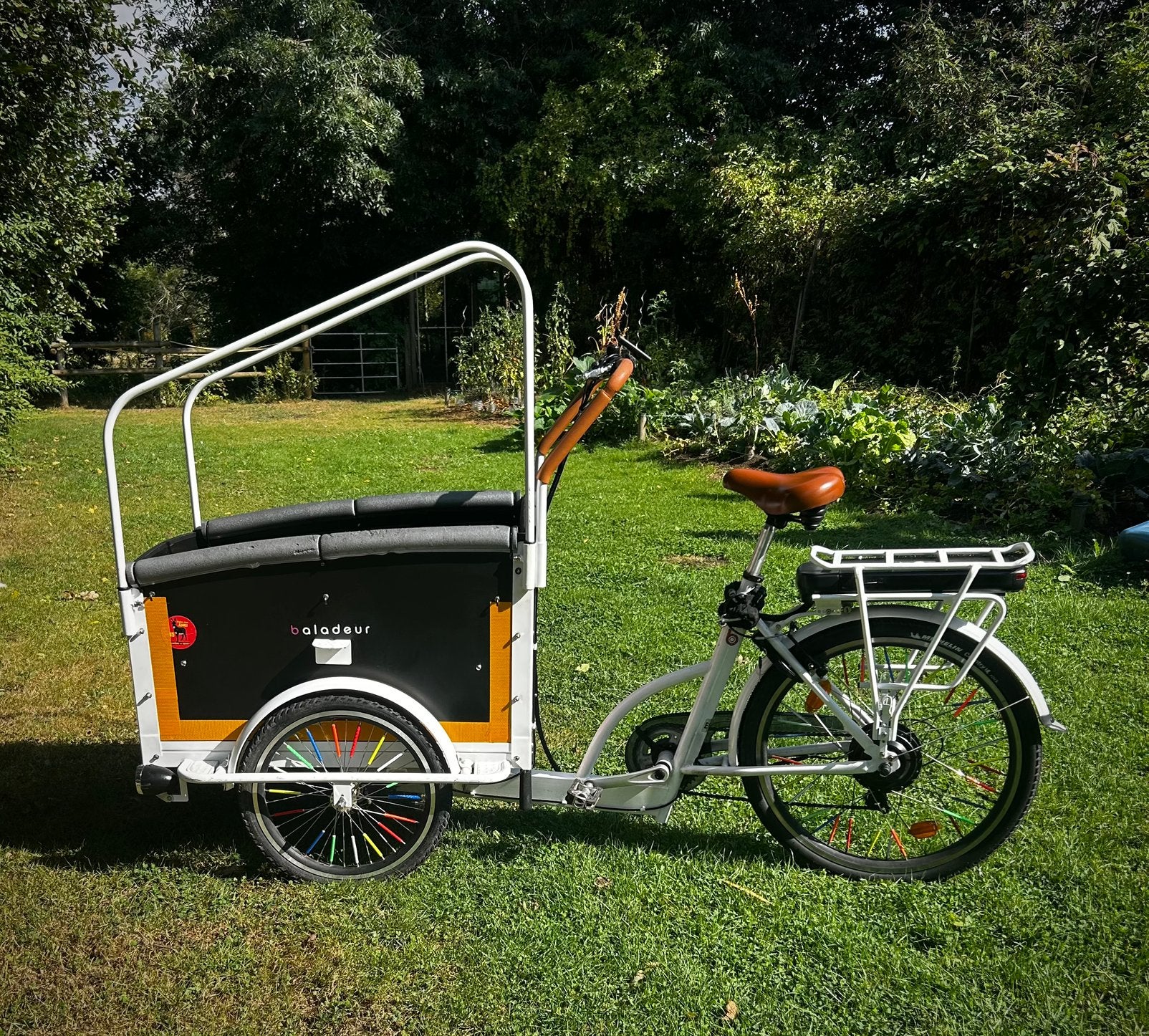 Vélo cargo triporteur électrique, Vélos & Vélomoteurs, Électrique, Enlèvement, Utilisé, Frein à disque