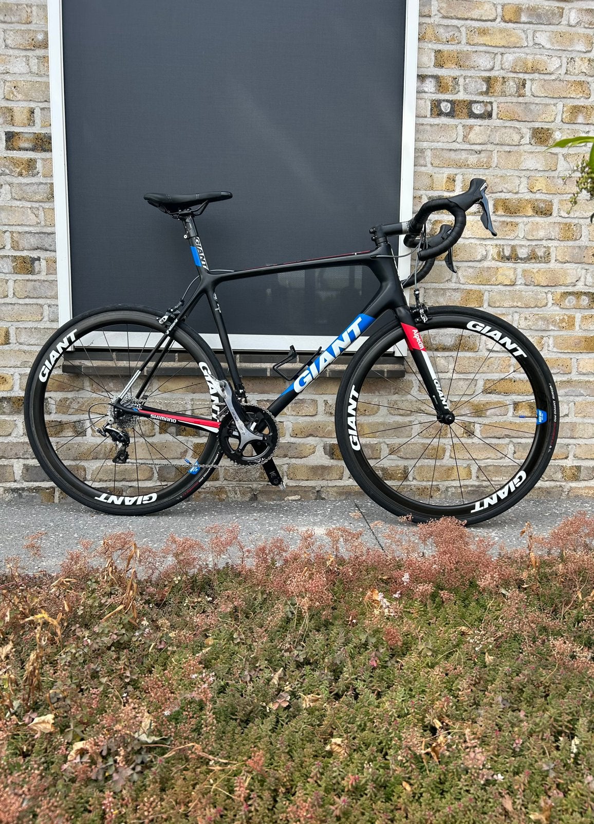 Full Carbon koersfiets Giant TCR Alpecin edition, Ophalen, Zo goed als nieuw, Carbon, Giant