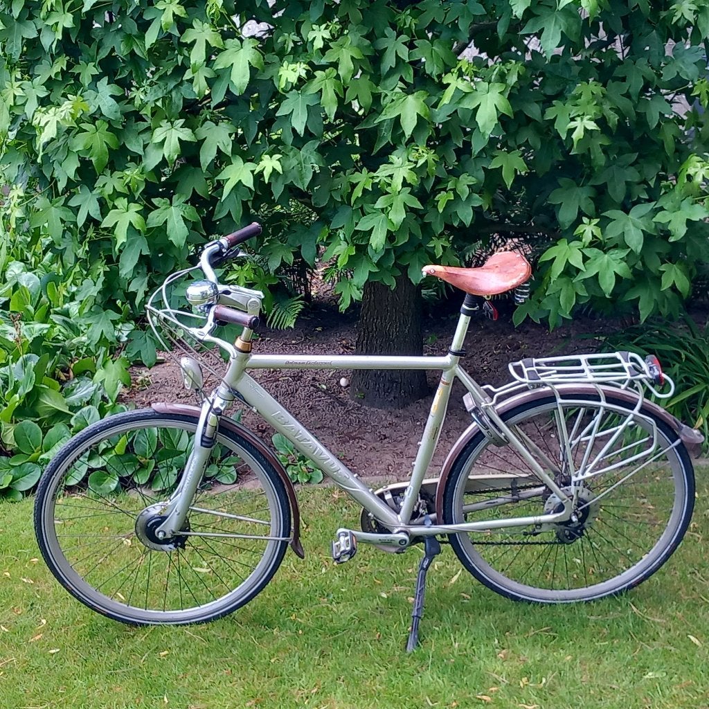 fiets limited edition Batavus, Fietsen en Brommers, Ophalen, Versnellingen, Batavus, Zo goed als nieuw