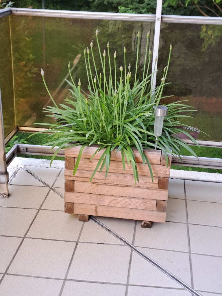 Bac à plante en bois avec une agapanthe, Tuin en Terras, Bloembakken en Plantenbakken, Ophalen, Gebruikt, Hout, Balkon
