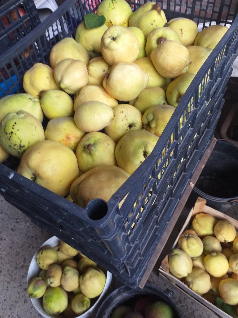Kweeperen  1€ per kilo, Ophalen