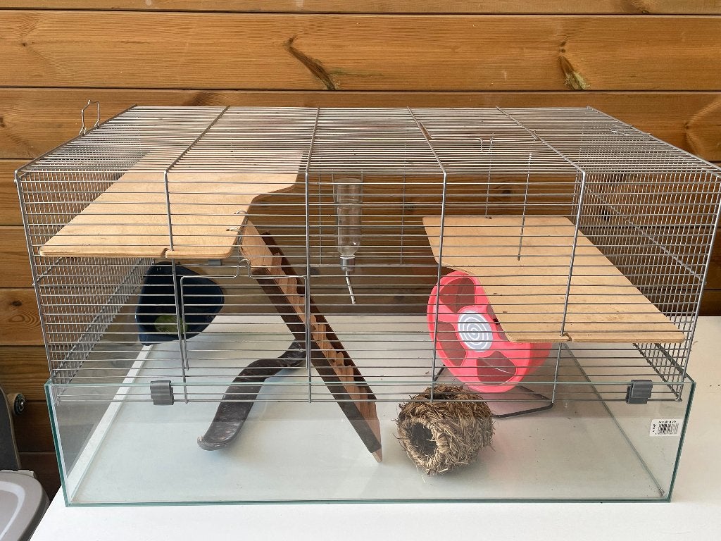 hamstercage with accesories, Kooi, Gebruikt, Hamster, 75 tot 110 cm