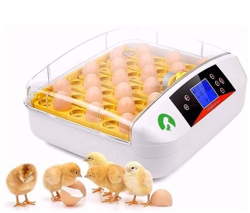 Nouvel incubateur automatique 42 + œufs à éclore GRATUITS, Animaux & Accessoires, Volatiles | Accessoires, Neuf, Couveuse, Envoi