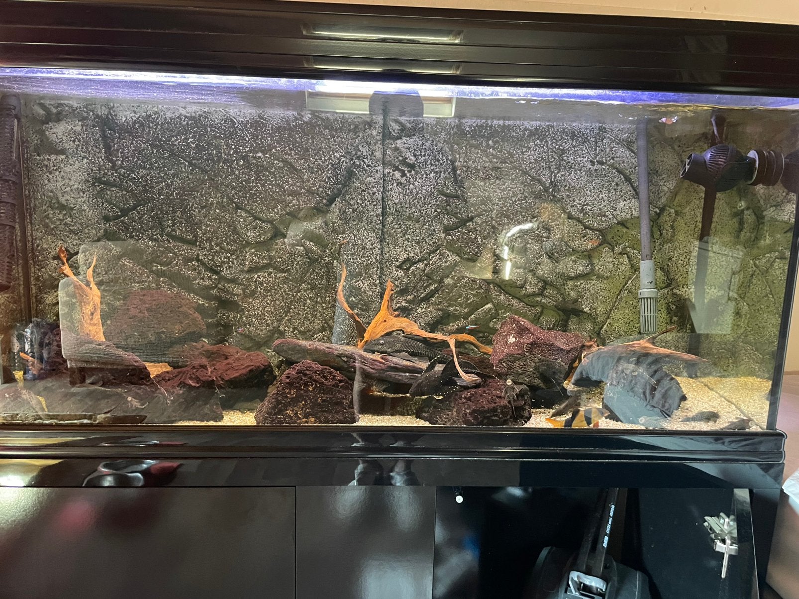 Aquarium, Enlèvement ou Envoi, Utilisé