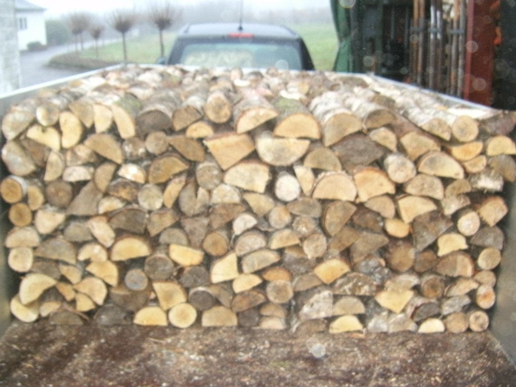 Bois de chauffage 33 cm, Enlèvement, Bouleau, Bûches