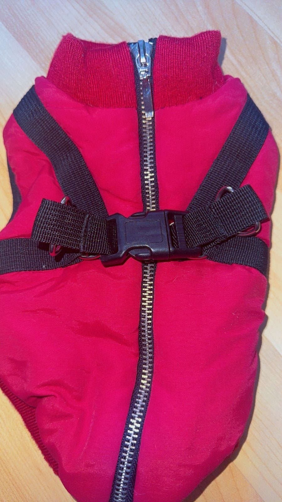 Veste pour chien, Dieren en Toebehoren, Hondenkleding, Ophalen, Zo goed als nieuw