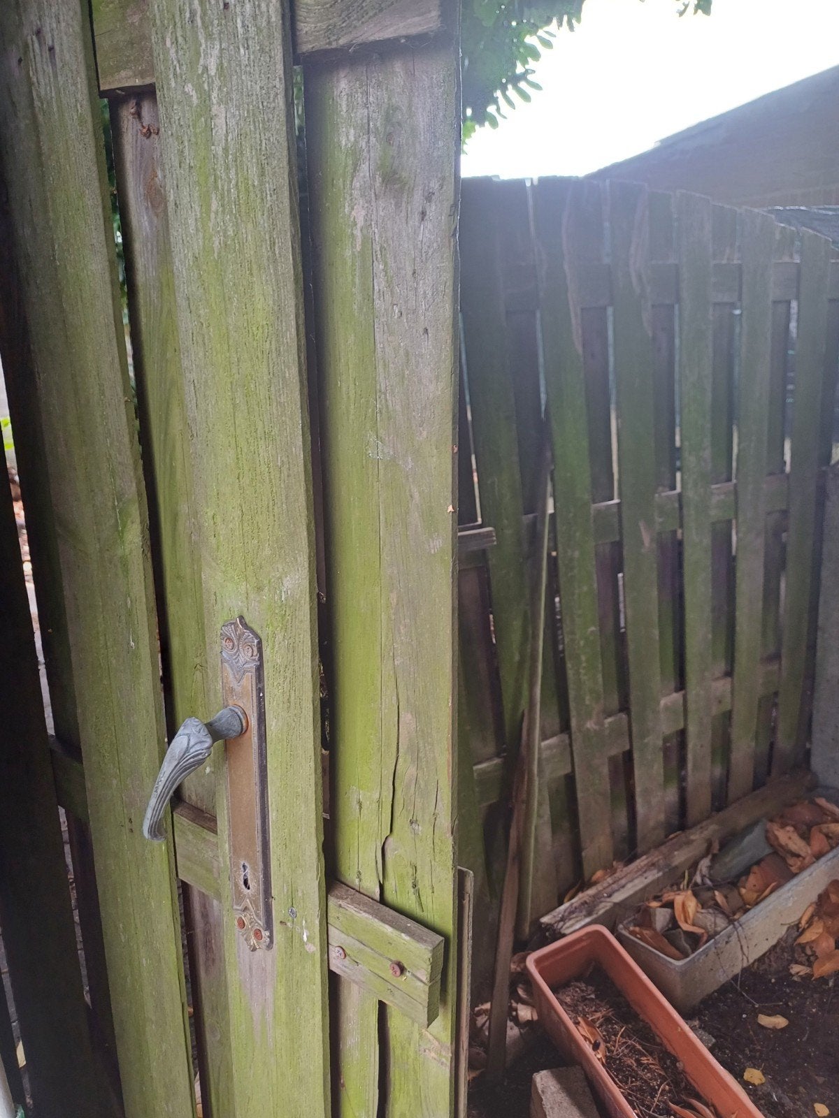 gratis hout, Tuin en Terras, Ophalen, Hout