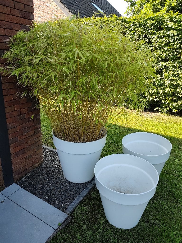 grote bloempotten Elho wit, Tuin en Terras, Bloempotten, Ophalen, Kunststof, 40 cm of meer, Rond