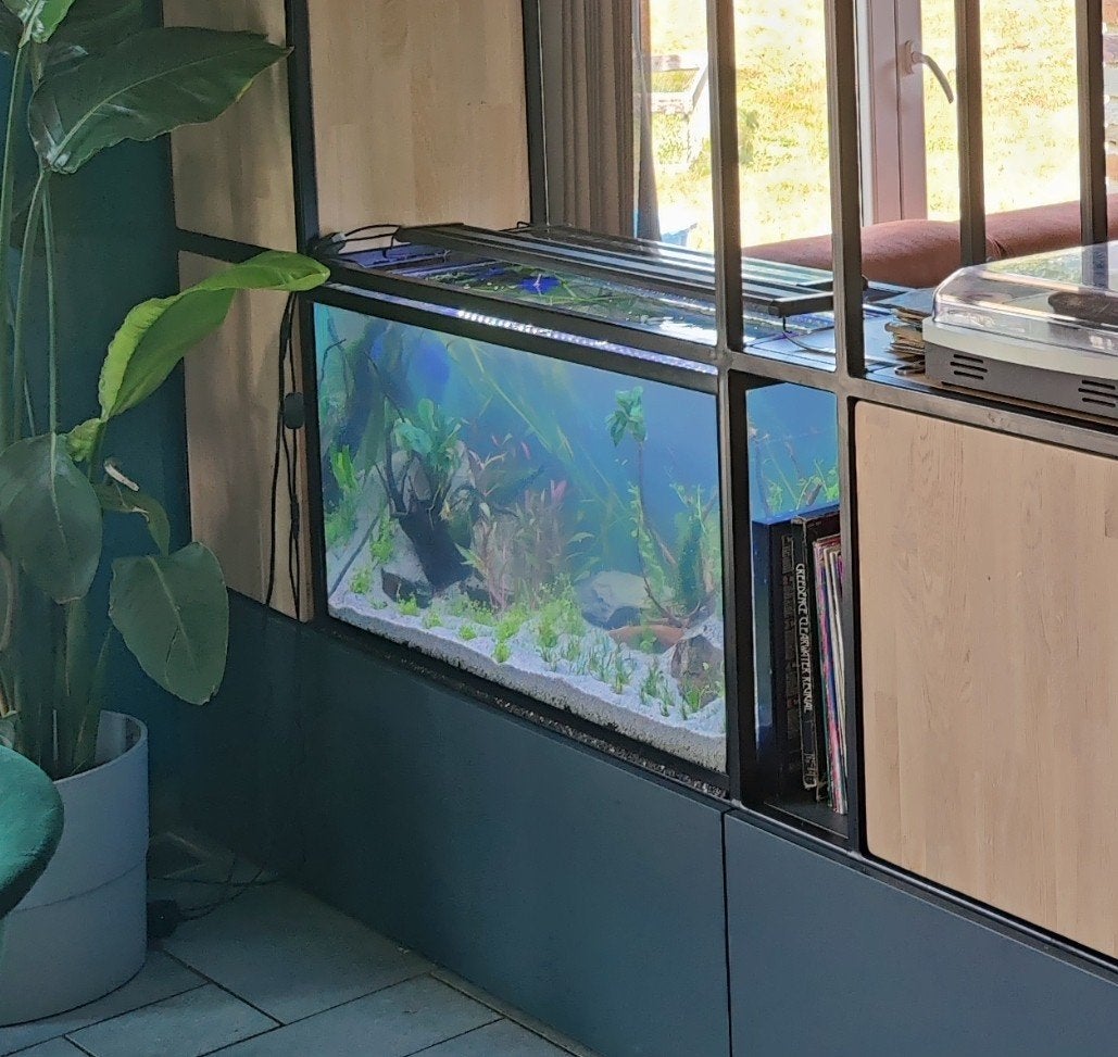 Aquarium cuve nue 200L, Animaux & Accessoires, Aquarium d'eau douce rempli, Enlèvement, Utilisé, Couvercle inclus