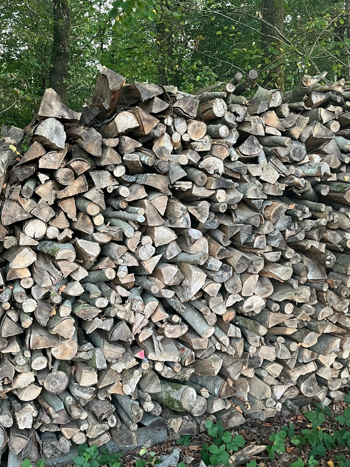 Bois de chauffage, Enlèvement, Hêtre