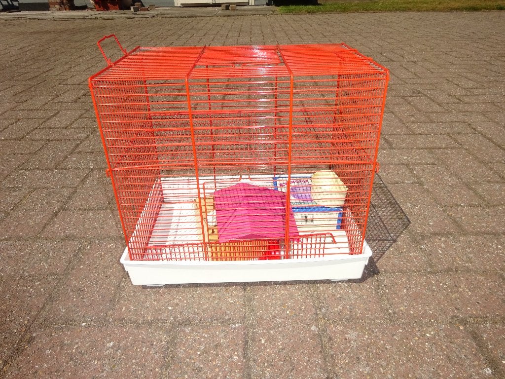 Hamster kooi, Dieren en Toebehoren, Ophalen of Verzenden, Zo goed als nieuw, Kooi, Hamster