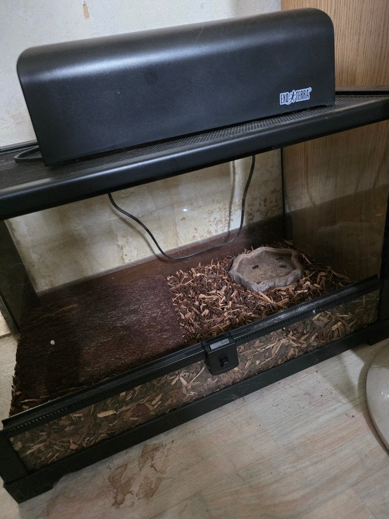 Terrarium, Dieren en Toebehoren, Ophalen, Zo goed als nieuw, Terrarium of Paludarium