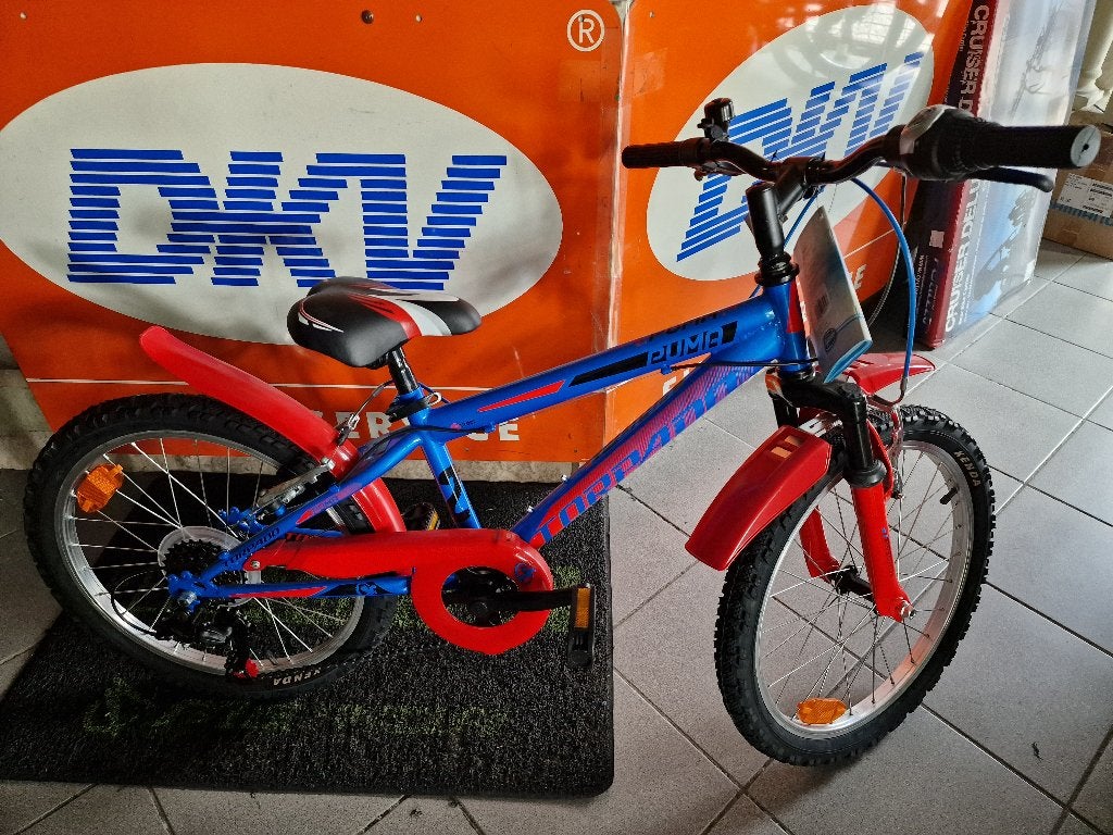 VTT enfant NEUF, Ophalen, Velgrem, Versnellingen, Nieuw