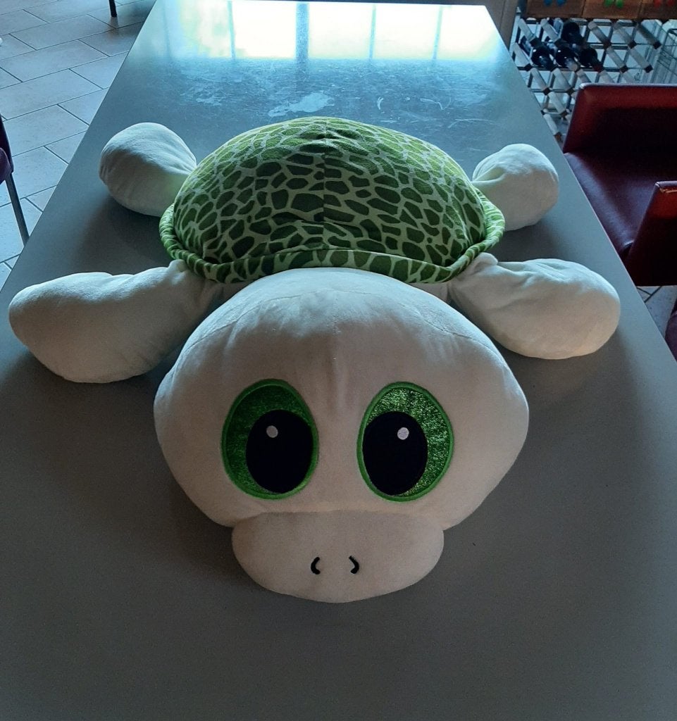 Groot knuffelkussen schildpad Nieuwstaat, Kinderen en Baby's, Ophalen of Verzenden, Nieuw