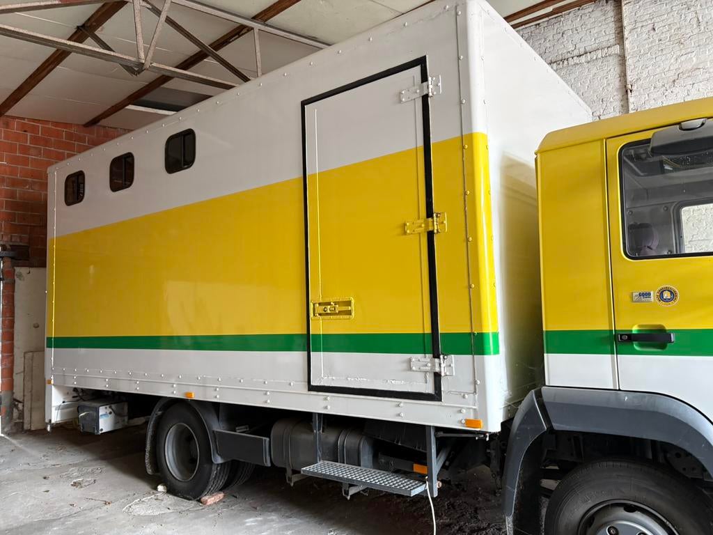 Voiture à chevaux MAN 10T — 1994— TRÈS BON ÉTAT — TESTÉE, Autos, Camions, Particulier, Achat, MAN