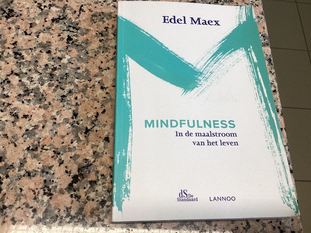 MINDFULNESS .  Edel Maex. In de maalstroom van het leven, Boeken, Ophalen of Verzenden, Zo goed als nieuw