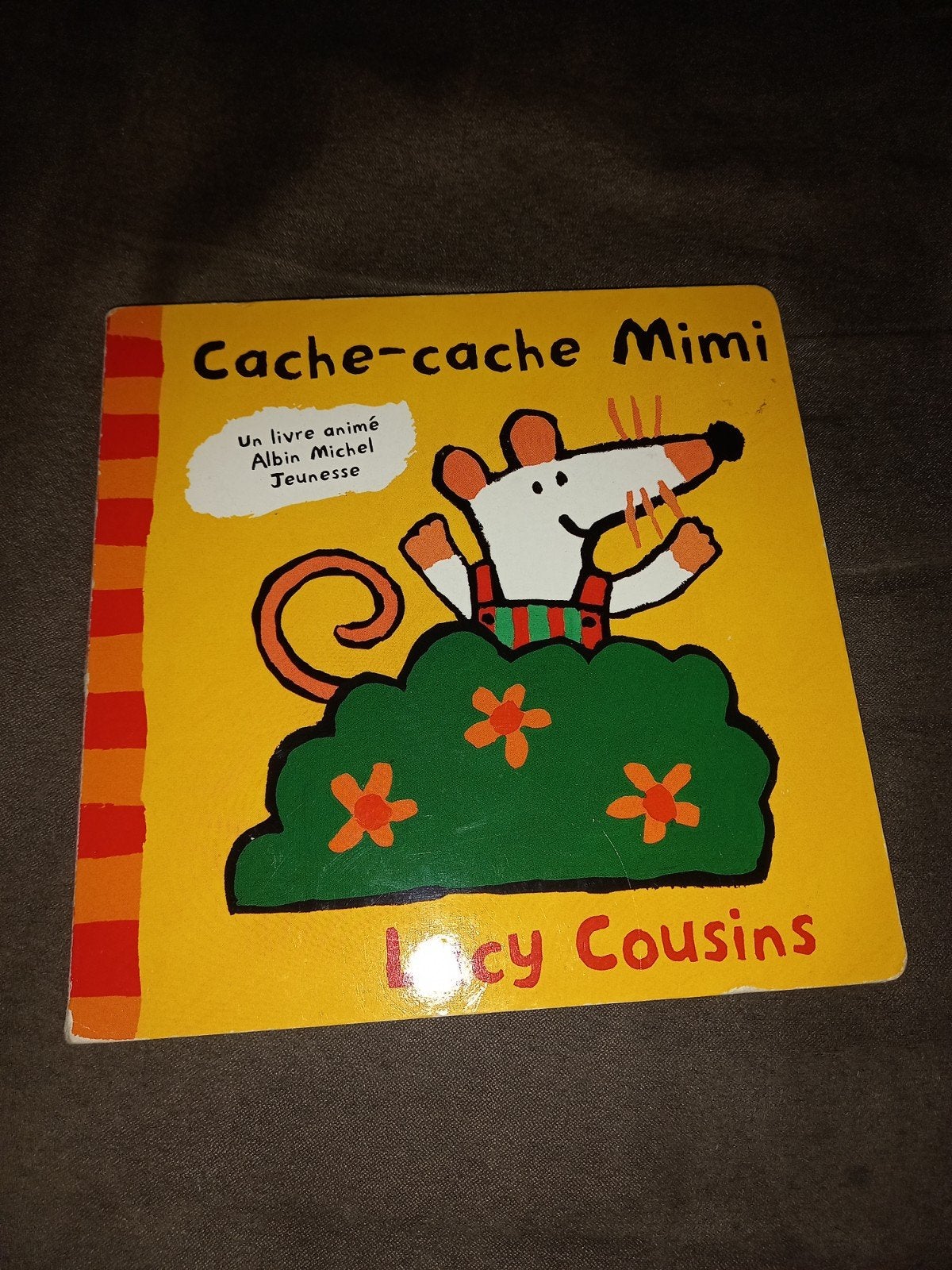 livre cache cache mimi, Enlèvement ou Envoi