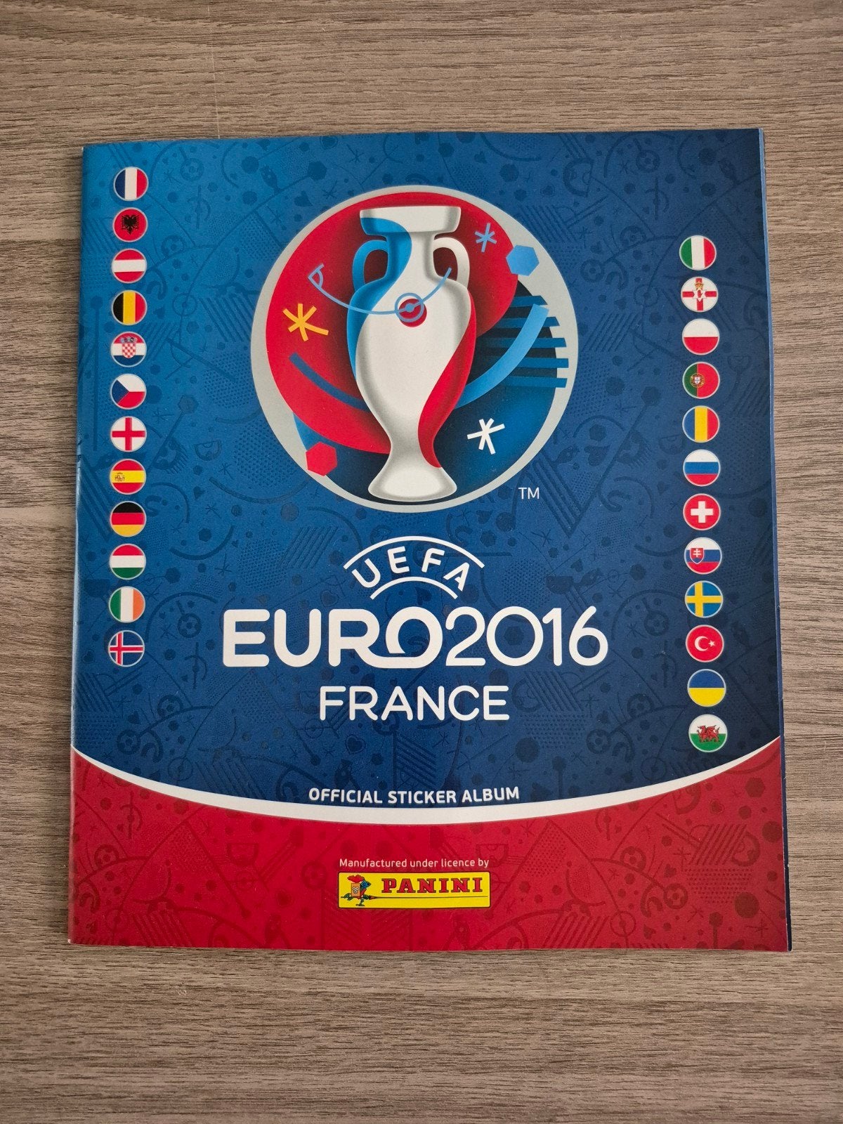2x Panini EK 2016 Frankrijk Leeg Stickerboek + veel stickers, Ophalen of Verzenden