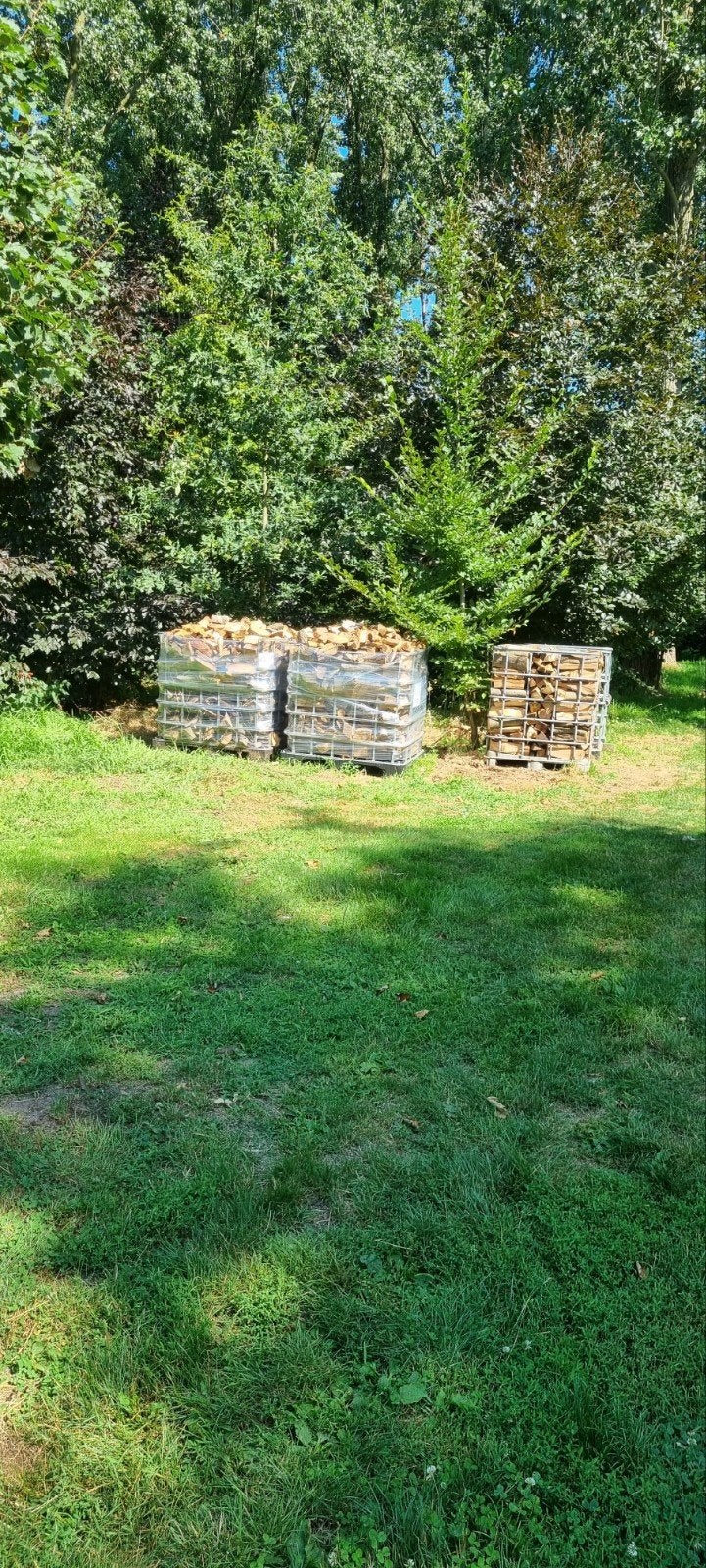 Bois de chauffage : chêne, hêtre, frêne, mélangé, Enlèvement