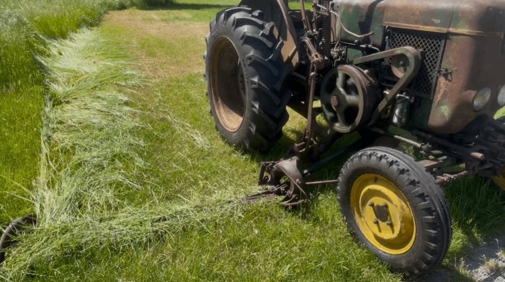 societé francaise vierzon sfv 201 avec barre de coupe rare, Articles professionnels, Agriculture | Tracteurs, Enlèvement