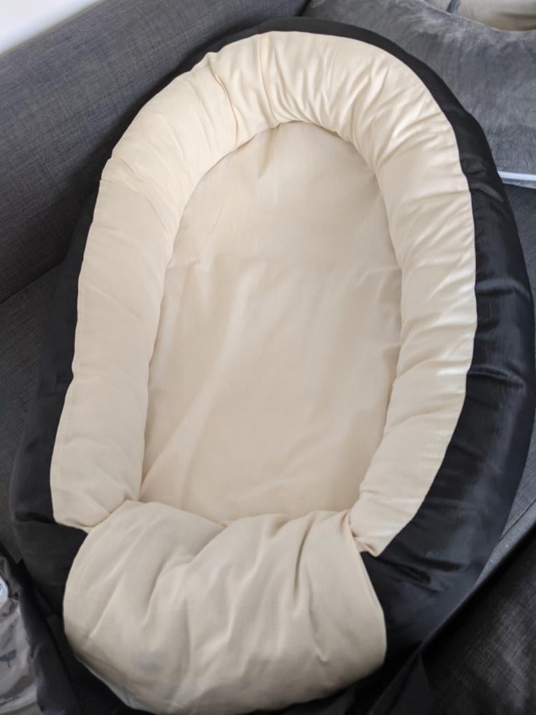 Babynestje, Enlèvement
