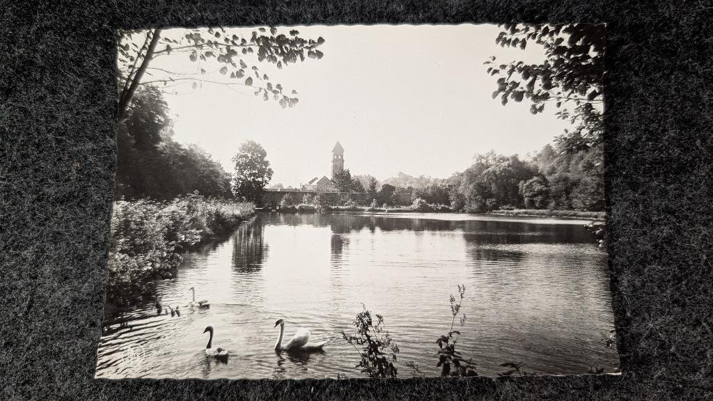 Carte postale ancienne Orval – “L’Étang Noir” n3, Enlèvement ou Envoi, Utilisé